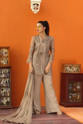 Aesthetic organza Pakistani clothes 2019 # P2614