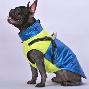 Snowy Snuggles Frenchie Warm Reflective Winter Jacket V2