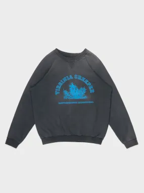 Virginia Creeper Crewneck